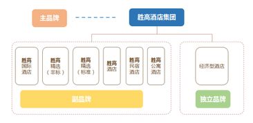 勝高Sego品牌營銷案例總結