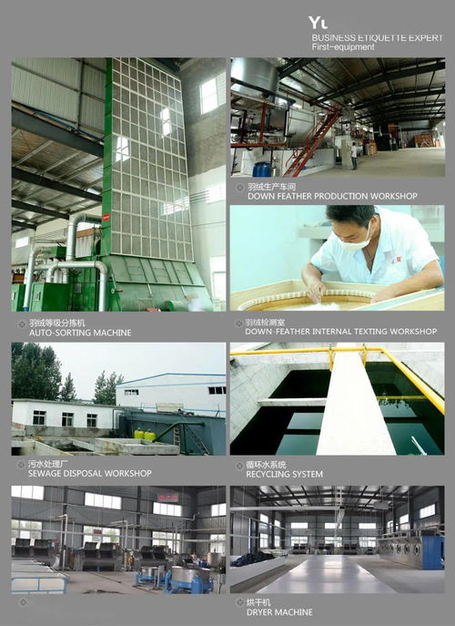 天門服裝產業新機遇 大型現代化服裝廠招賢納士，優質車間倉庫同步租售